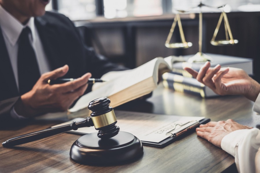 Quels sont les domaines de spécialisation possibles pour un juriste et un avocat ?